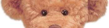 shops that sell teddy bears near me